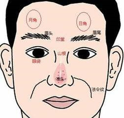 什么是日月角,日月角突出必为贵人 什么是日月角,日月角突出必为贵人