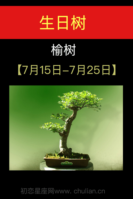 7月15日到8月25日，7.25日是什么日子