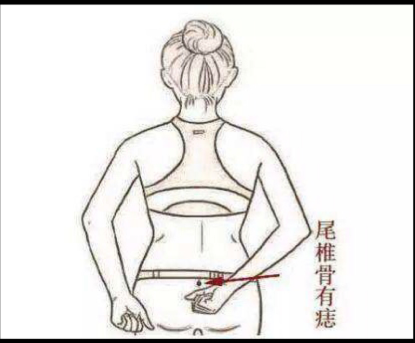 优秀的作家不仅是思想家，被誉为天才作家的作者