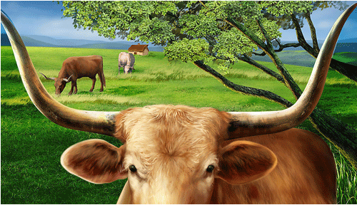 1985年五行属什么命，1985年是金命还是木命