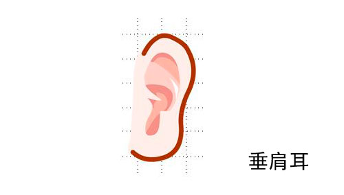 垂肩耳珠图片，耳带垂珠必富贵