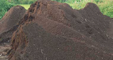 五行属土的人的性格特点，五行属土的女人性格