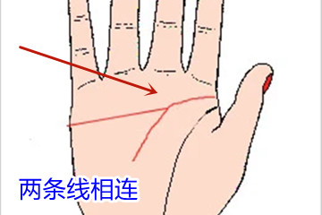 假断掌的女人的命运，女人假断掌大富大贵