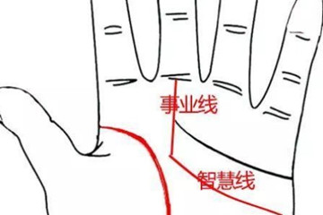 事业线从智慧线升起，事业线起源于智慧线