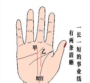 两条事业线代表了什么意思，事业线两条合为一条