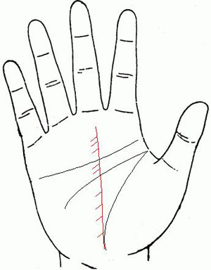 命运线图解女右手,生命线分叉20种图解 命运线图解女右手,生命线分叉20种图解