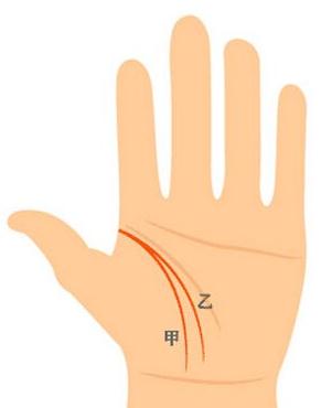 两条生命线图解大全,双生命线就是贵人线吗 两条生命线图解大全,双生命线就是贵人线吗