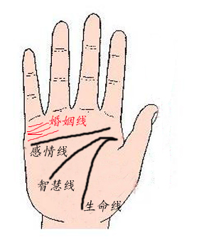 女人婚姻线图解大全，婚姻线分叉20种图解