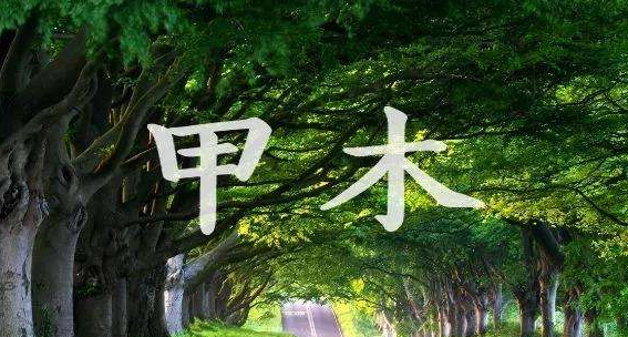 十天干的精华，十天干哪个最强