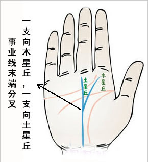 命运线末端分叉图解,生命线分叉20种图解 命运线末端分叉图解,生命线分叉20种图解