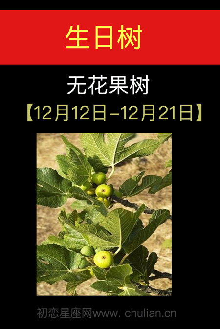 2021年12月12日，12月21日阳历是多少