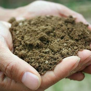 什么是饿土命的人,饿土命是几月到几月 什么是饿土命的人,饿土命是几月到几月