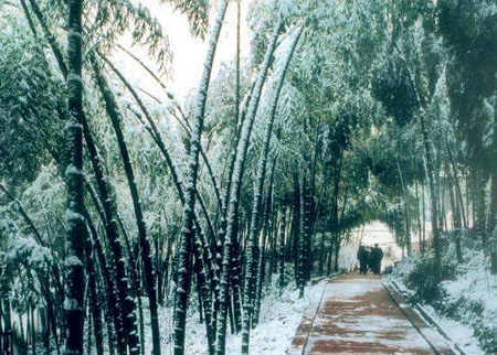 50条江湖绝密，江湖十三簧白话文