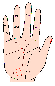 命运线的支线,命运线的七种结局 命运线的支线,命运线的七种结局