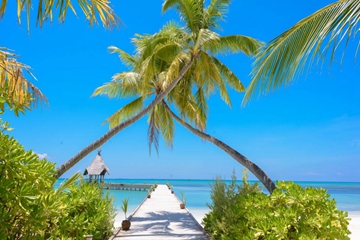 2022年8月8号出生的宝宝,2020年1月23日生辰命理 2022年8月8号出生的宝宝,2020年1月23日生辰命理