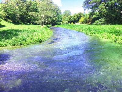 壬水生在酉月用神是什么，壬水生酉月身强还是身弱