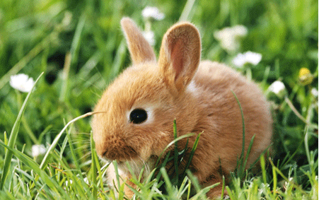 1975年五行属什么命，1975年属水还是木