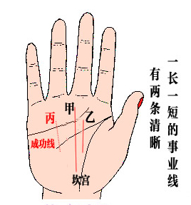 两条事业线的男人,女性有双重事业线 两条事业线的男人,女性有双重事业线
