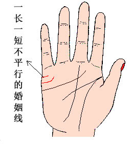 两条婚姻线代表什么,4条婚姻线一定就不好么 两条婚姻线代表什么,4条婚姻线一定就不好么