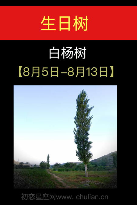 8月9日到8月15日，1994年05月04日
