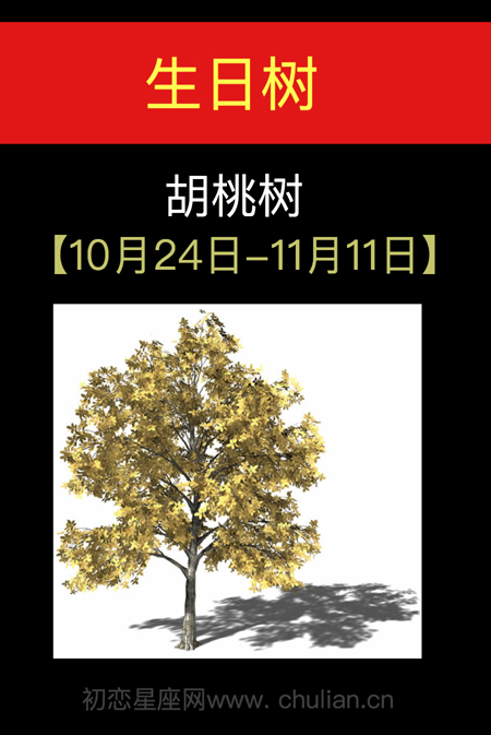 10月24日-11月22日，农历10月24日出生的人
