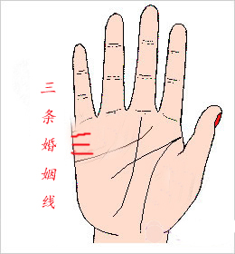 三条平行的婚姻线，三条婚姻线哪个是真的