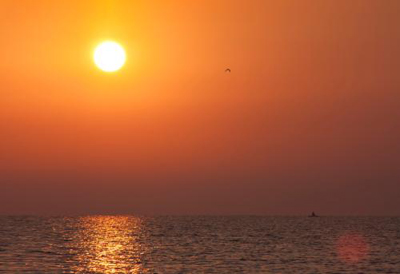 丙日主生在子月用神，丙火处于子月是什么状态