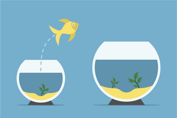 客厅鱼缸怎样摆放旺财图片,鱼缸旁放什么植物旺财 客厅鱼缸怎样摆放旺财图片,鱼缸旁放什么植物旺财