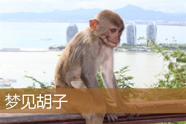 梦见胡子长长了（男人梦见自己长胡子）