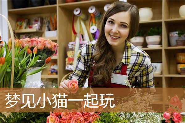 梦见小猫一起玩耍(梦见两只小猫在一起玩耍)