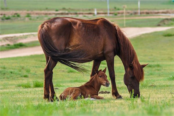 90年属马男人的性格和脾气，90年属马的性格和脾气