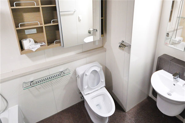 化解卫生间开门见镜子图片，洗脸盆镜子正对厕所门