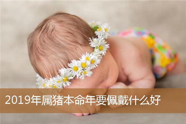 属猪本命年适合佩戴什么,属猪人戴什么最旺财 属猪本命年适合佩戴什么,属猪人戴什么最旺财