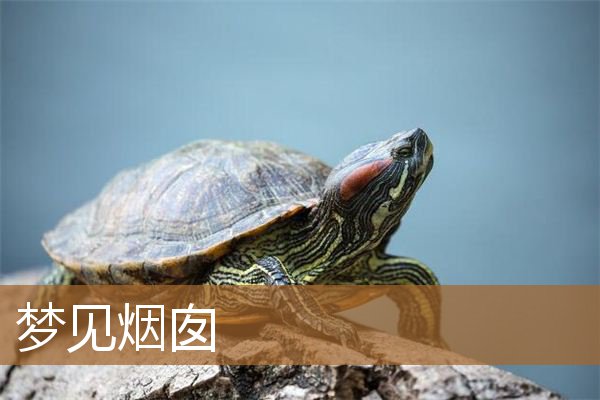 梦见烟囱倒塌是什么征兆（梦见修烟囱有什么预兆）