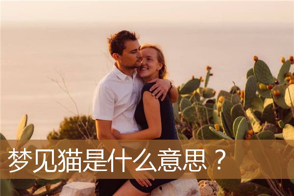 梦见猫是什么意思周公解梦（男人梦见猫是什么意思）