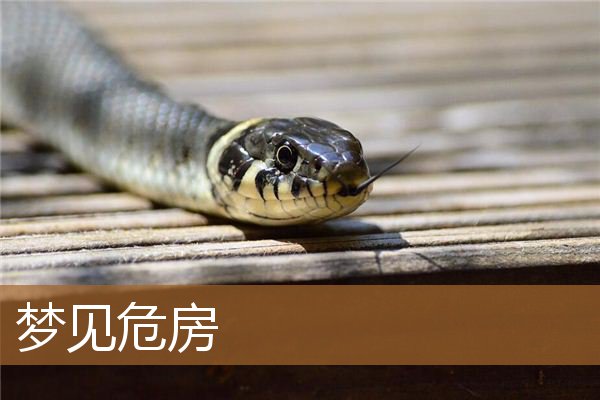 梦见危房快倒塌是什么征兆（梦见房子变形即将倒塌）