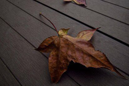 天秤座事业运2020（2021年天秤座事业贵人）