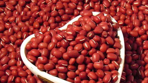 梦见红豆是什么意思,梦见红豆是什么意思 梦见红豆是什么意思,梦见红豆是什么意思