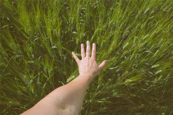 怎么看自己有没有横财,横财必有横祸吗 怎么看自己有没有横财,横财必有横祸吗