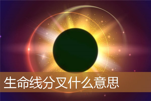 手掌生命线分叉什么意思（生命线分叉20种图解）