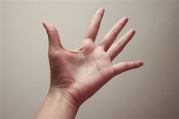 怎样通过掌纹看事业,掌纹怎么看事业 怎样通过掌纹看事业,掌纹怎么看事业