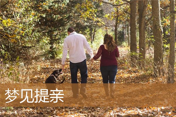 梦见提亲失败什么意思(梦见去女方家提亲)