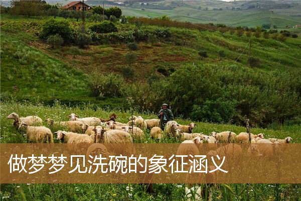 梦见洗碗什么意思（梦见洗碗什么预兆）
