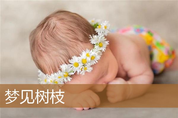 梦见树枝折断是什么意思（梦见干树枝是什么预兆）
