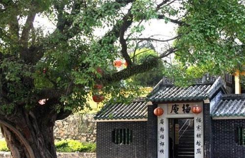 金蟾的寓意是什么（金蟾和12生肖哪个好）