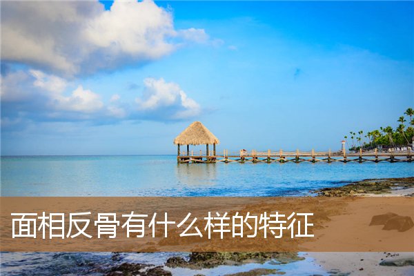 什么是反骨面相,看面相什么叫反骨 什么是反骨面相,看面相什么叫反骨