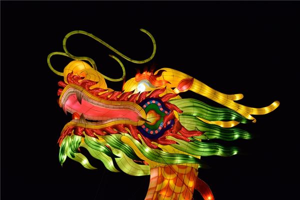 属龙巨蟹座男生的性格特点（属龙巨蟹座男生致命弱点）