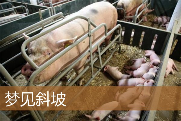 梦见斜坡往下滑下去（梦见自己站在斜坡上）