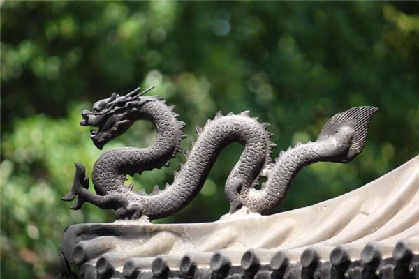 属龙是什么年份生肖（什么年份属龙）