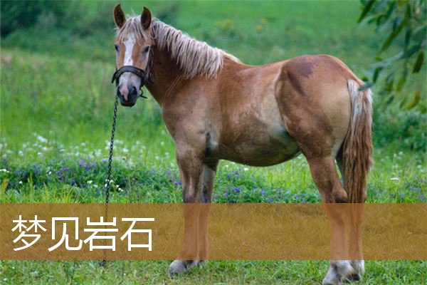 梦见岩石垮落(梦见巨大的岩石山)